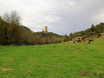 Caminada a Vallferosa per la vall