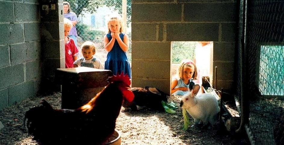 Casa rural vallferosa. Granja animals