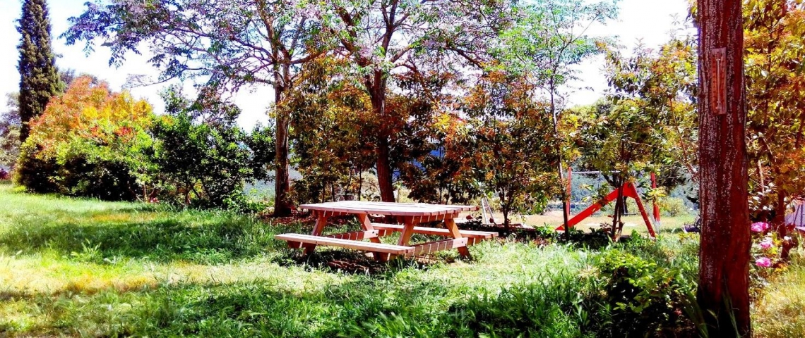 Davant casa rural, barbacoa calçotades.