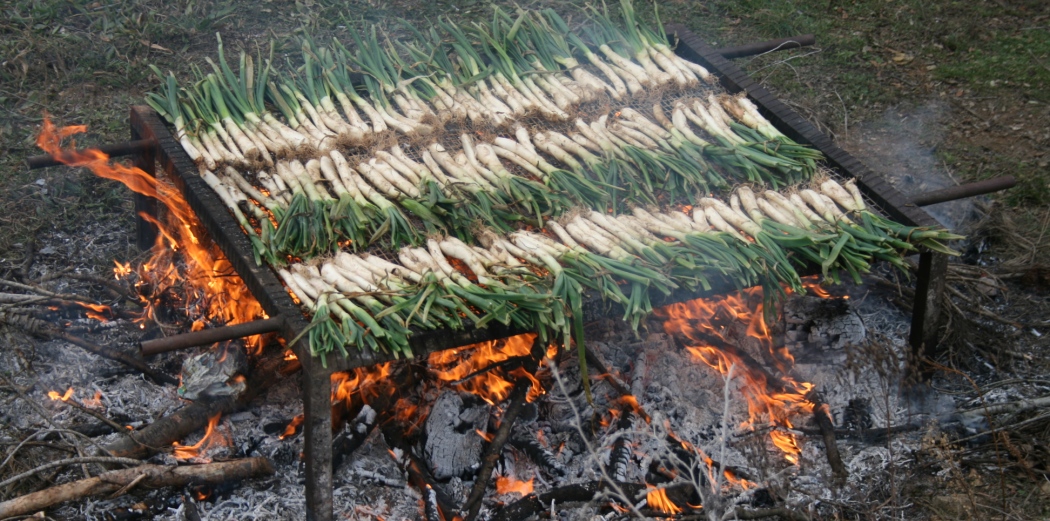 Casa rural primavera espectacular. Calçotades