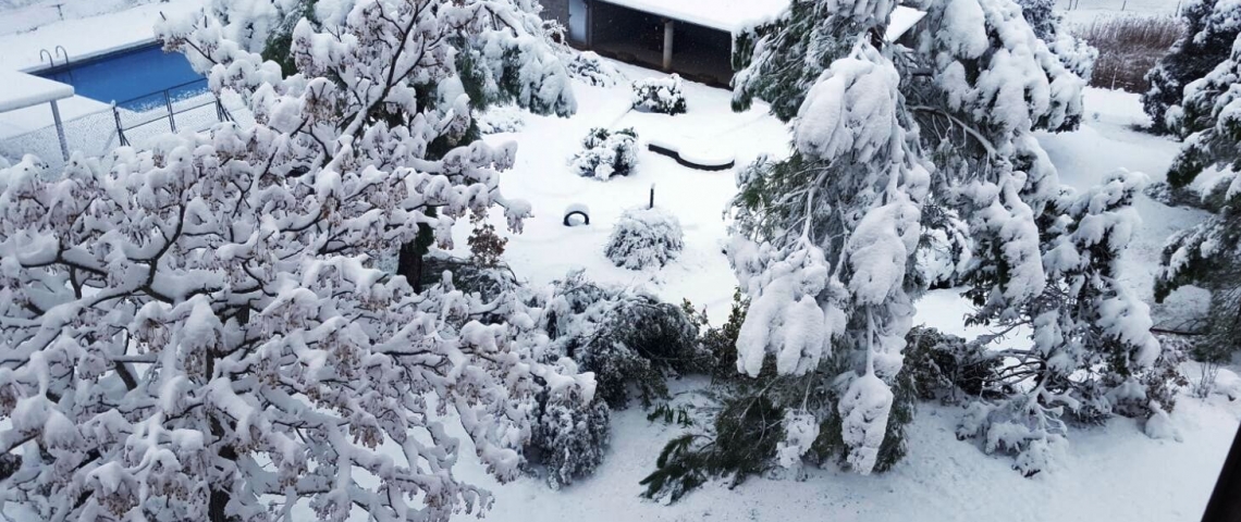 Jardí nevat casa rural esquí
