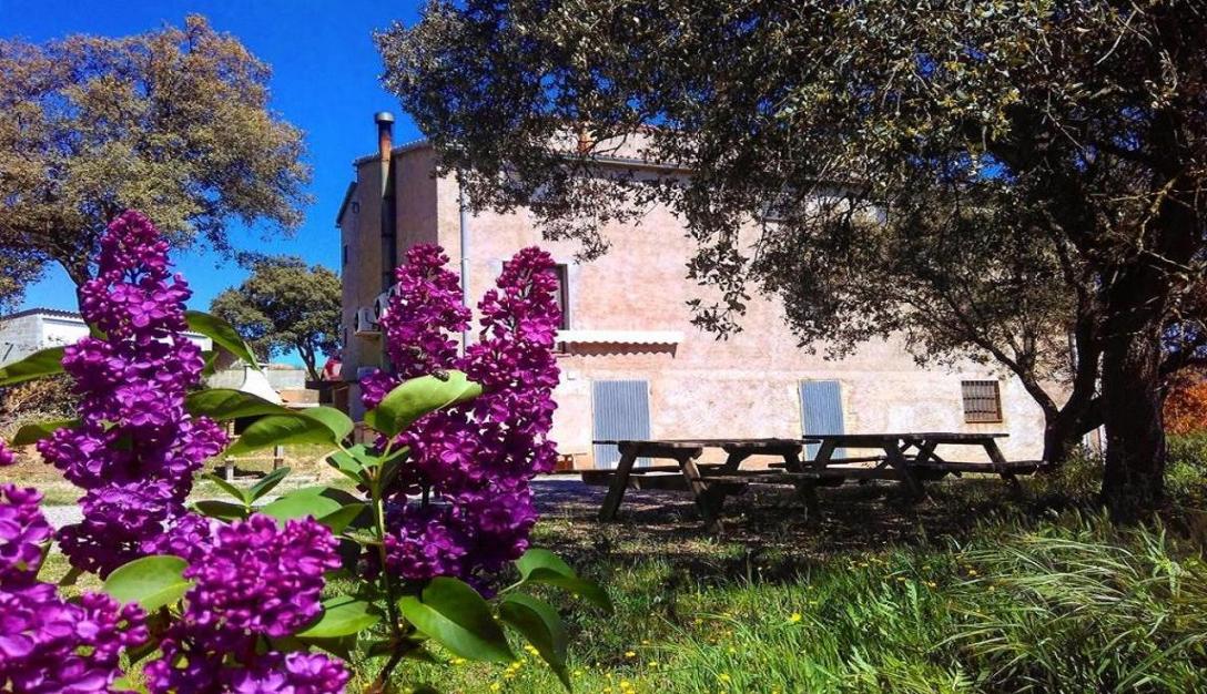 Casa rural primavera natura i flors